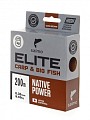 Salmo Elite Carp & Big Fish 200/030