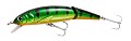 Abu Garcia Jointed Tormentor 110F Perch
