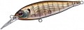 EverGreen Bank Shad 246