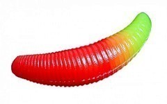 Jara Baits Мягкие приманки Jara Baits Bruchi 40 Бабл Гам #221