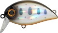 Zipbaits Hickory SSR #316