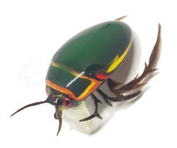 Воблеры Chafer37 Плавунец Воблеры Chafer37 Плавунец