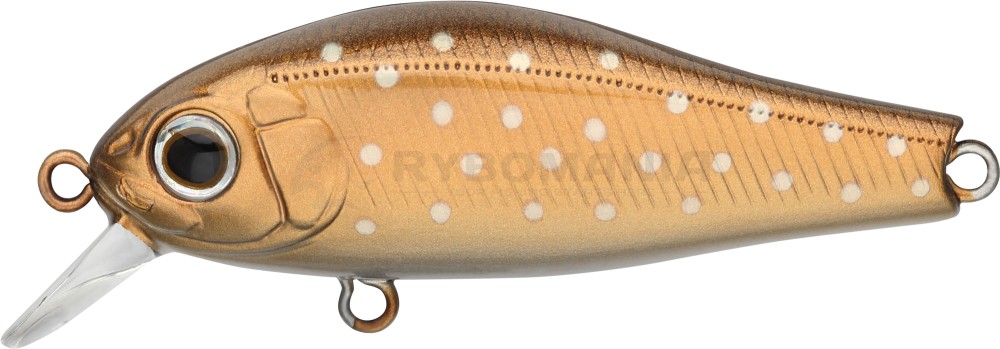  Rigge 43SP