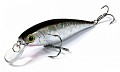 Lucky Craft Pointer 100 834 Bait Fish Silver