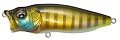 Megabass Pop Max PM wild gill