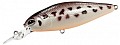 Lucky John Original Shad-XDR 80F 004