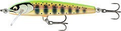 Rapala Воблер Rapala Floater Elite FE85 GDCY