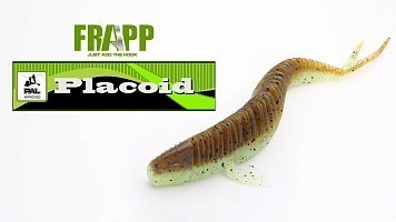 Новинка — Frapp Placoid!