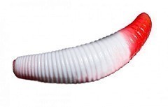 Jara Baits Мягкие приманки Jara Baits Bruchi 40 Сыр #204