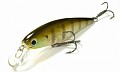 Lucky Craft Pointer 100 163 Male Blue Gill