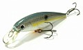 Lucky Craft Pointer 78 172 Sexy Chart Shad