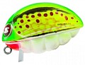 Salmo Bass Bug 55F GB