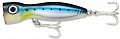 Rapala X-Rap Magnum Xplode 170 BSRD