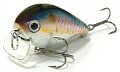 Lucky Craft Clutch SSR 270 MS American Shad