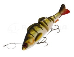 Percy the Perch Inline