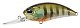 DUO Воблер DUO Realis Crank M65 11A #CSX3158