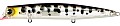IMA Komomo SF-125 #KM125-413 Coach Dog Clear
