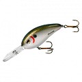 Bomber Fat Free Shad BD8F BD8FTSP