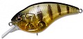 Megabass SonicSide GP Pro Perch