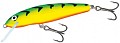 Salmo Minnow 70F GT