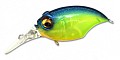 Megabass Griffon MR-X New biwako seethrough chart