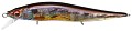 Megabass Vision Oneten Jr. fa gill