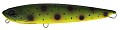 DUO Realis Fangstick 150 Bone #BCC3336