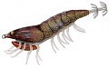 Savage Gear 3D Hybrid Shrimp Egi 7.5cm 12g EGI Jig Glitter #10-Burnt Ora