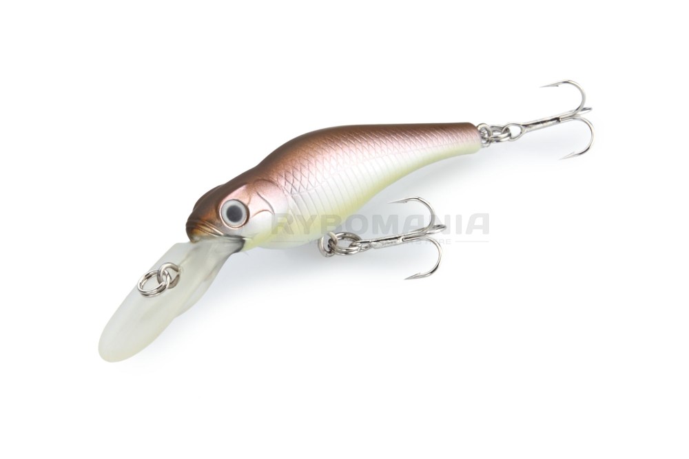  Spin-Move Shad