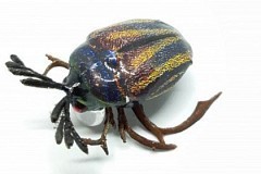 Chafer37 Воблер Chafer37 Майский жук BG-27-L