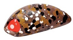 Lucky John Воблер Lucky John Pro Series Haira Tiny 44LBF 503