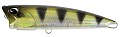 DUO Realis Fangpop 105 #CTA33525