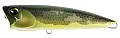 DUO Realis Fangpop 105 #CCC3895