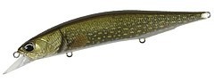 DUO Воблер DUO Realis Jerkbait 120SP Pike Limited #ACC3820