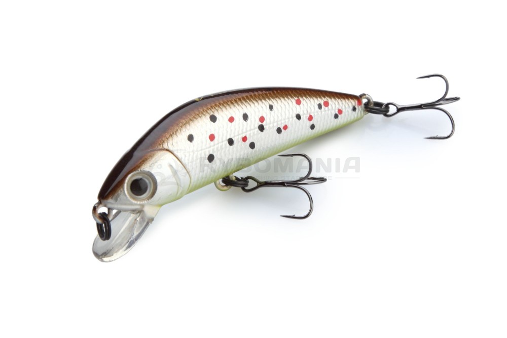  I Fish 5F