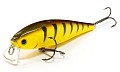 Lucky Craft Pointer 100 SR 806 Tiger Perch