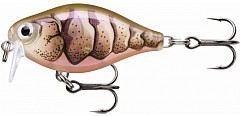 Rapala Воблер Rapala X-Light Crank Shallow Runner PUPU