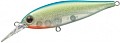 EverGreen Bank Shad 248