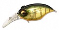 Megabass Griffon MR-X New gg kasumi tiger