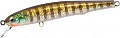 Itumo LB Minnow 80SP 33