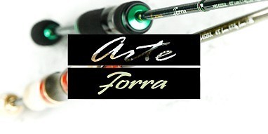 Поступление Zetrix Arte и Forra