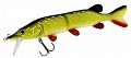 Westin Mike the Pike Hybrid 28 Low Floating Baltic Pike