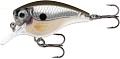 Rapala BX Brat BXB06 PGS