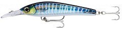 Rapala Воблер Rapala X-Rap Magnum Xtreme 160 HDWHU