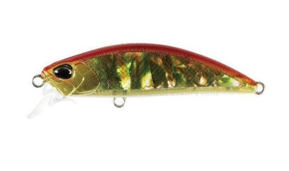 DUO Воблер DUO Spearhead Ryuki 51S Awabi