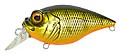 Megabass SR-X Griffon GG Kasumi Tiger