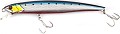 FishyCat Tigercub 205F #R25