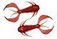 Megabass Rock Hog Мягкие приманки Megabass  2.5" clear red