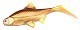 Ola Lures Мягкие приманки Ola Lures Hooligan Roach Jr Gold Digger