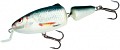 Salmo Frisky SR 50 RD